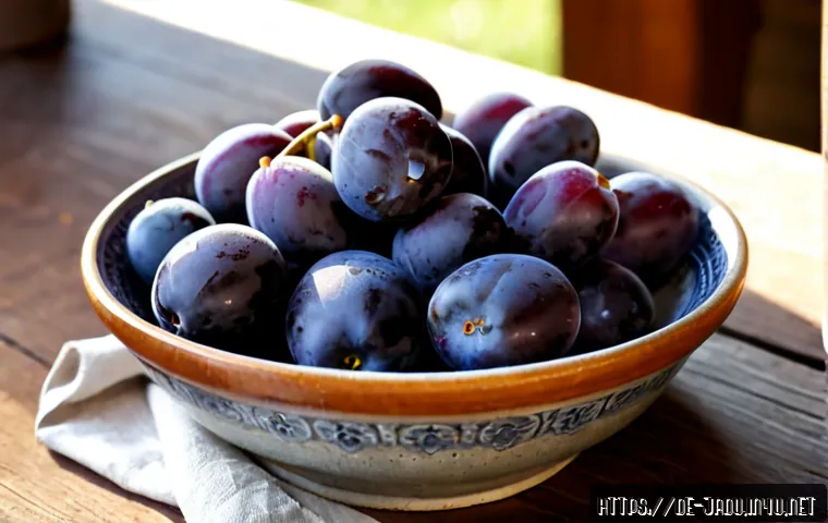 Home 17 자두의 특별한 에피소드 - Photorealistic still life of ripe dark-purple plums freshly picked from a small orchard in southern ...